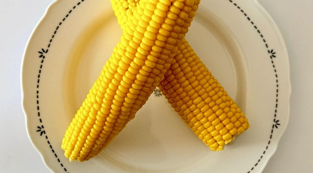 Frissen főtt csemegekukorica csövek
